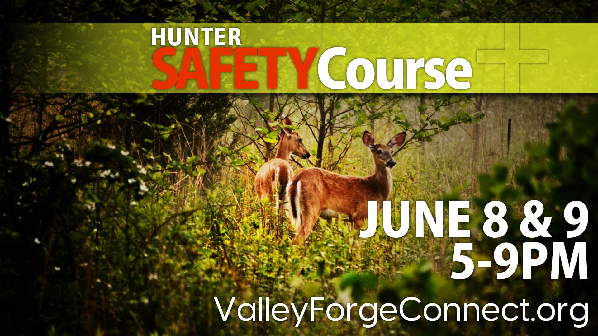 HunterSafety copy